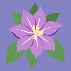 vector illustration of a lotus flower clematis