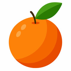 vector illustration of an orange clementine