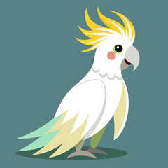 vector illustration of a bird cockatoo