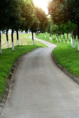 Landscape of empty country path