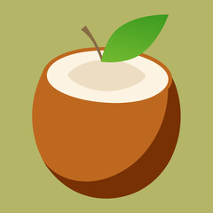 vector illustration of a coconut
