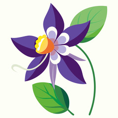 vector illustration of a flower columbine
