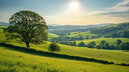Obraz premium Sunny countryside with rolling hills and grazing sheep - generated AI