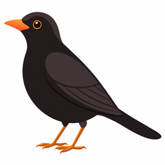 common blackbird cartoon vector