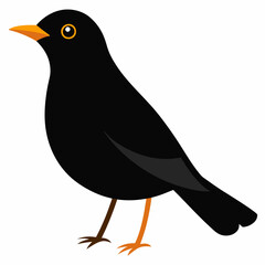 common blackbird cartoon vector