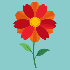 coreopsis flower vector