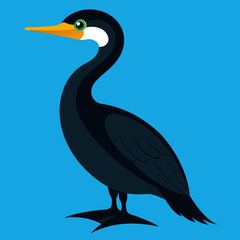 illustration of a blue bird  cormorant
