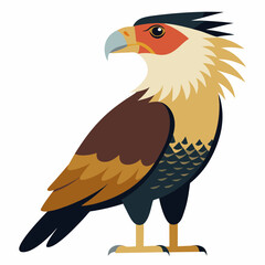 vector illustration of a eagle crested caracara