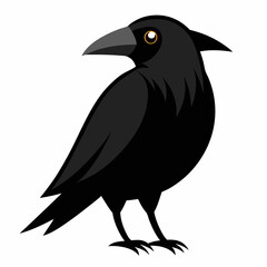 vector illustration of a crow