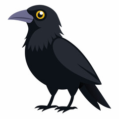 crow on a white background