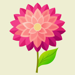 vector illustration of a dahlia flower