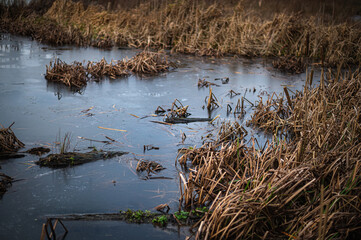 Ghent Bourgoyen-Ossemeersen