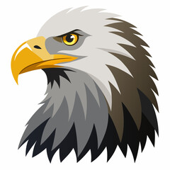 american bald eagle