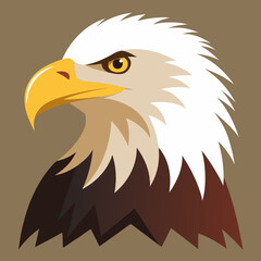 american bald eagle