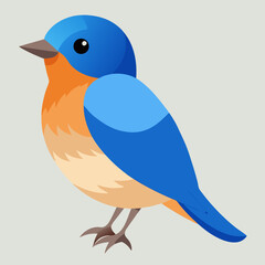 eastern bluebird on a branch