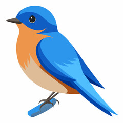 eastern bluebird on a branch