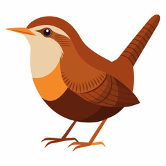 illustration of a eurasian wren