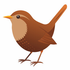 illustration of a eurasian wren