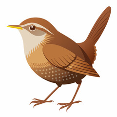 illustration of a eurasian wren