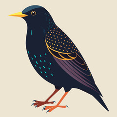 illustration of a european starling