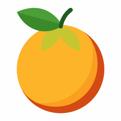 abiu fruit vector illustration