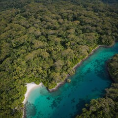 This breathtaking aerial drone view captures the stunning beauty of Isla del Ca&ntilde;o in Costa Rica, showcasing its lush jungle and vibrant greenery. 