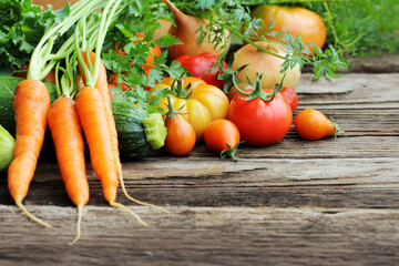 Fresh vegetables. Colorful vegetables background. Healthy vegetable studio photo. Assortment of fresh vegetables close up.