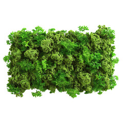 Obraz premium Lush green foliage vibrant plant life dense greenery natural texture isolated background perfect for design projects nature scene botanical illustration