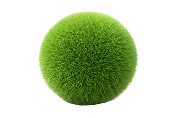 Lush green grass ball on transparent background, vibrant plant, natural beauty concept