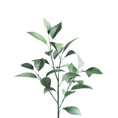Fototapeta premium Lush green plant sprig isolated on transparent background botanical illustration nature greenery leaves stem foliage branch sprig vibrant green