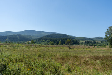 Obraz premium Mountains ranges Carpathian. Hill forest and meadows valley in summer. Blue sky. Nature outdoor Ukraine