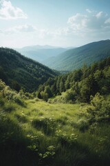 Obraz premium Wooded area at the foot of mountains