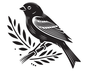 Finch 6.eps
