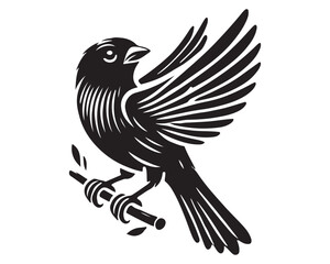 Obraz premium Finch 10.eps