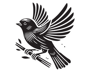 Finch 12.eps
