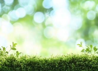 Close-up of green moss on a blurred background, with ample space for text. The color theme is predominantly green, 