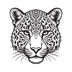 white tiger isolated on black