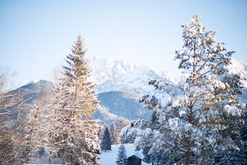 Panoramic view of the snow-capped mountain peaks of the mountains. Frozen trees in a winter wonderland in the Austrian Alps. Ski trips in untouched nature