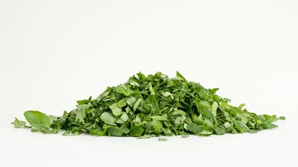 Obraz premium A heap of fresh green basil leaves with a soft, velvety texture spread on a clean white background. Fresh, natural, culinary, simple.