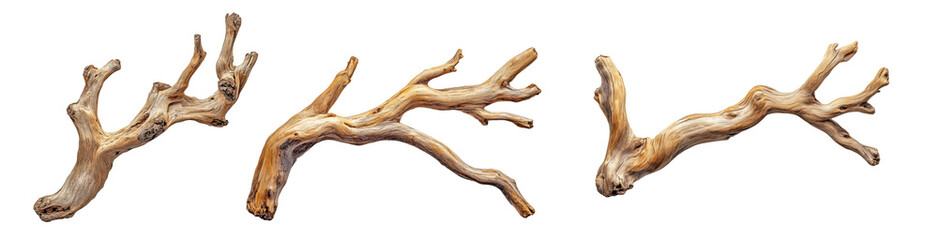 Dry, weathered tree branches with intricate textures and unique shapes, transparent background, ideal for natural decor, aquarium setups, or artistic designs