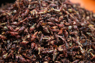 Grasshoppers are edible insects used in Mexican cuisine in the Oaxaca region.