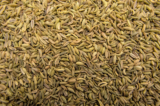 Full-Frame Close-Up of Fennel Seeds Top View Textured Herbal Ingredient Macro