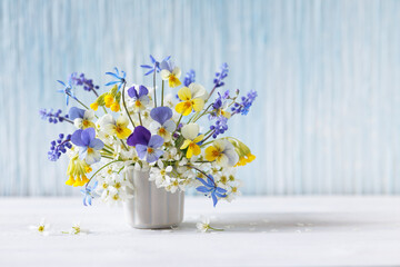 Bouquet of spring flowers pansies, primroses, muscari, bird cherry, scilla in a vase on a table near a blue wall, blur, beautiful still life