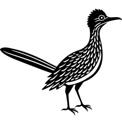 Obraz premium black and white bird