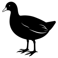 vector illustration of a duck