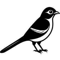 Obraz premium bird on a branch