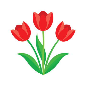 red tulips green stems white background clip art preview