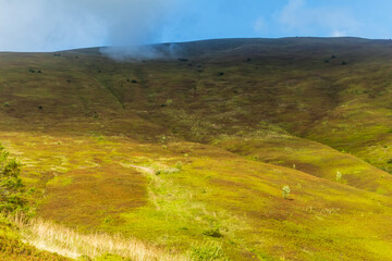 View of Borzhava Mountain Range in the Carpathians: Summer Wild Blueberry Fields