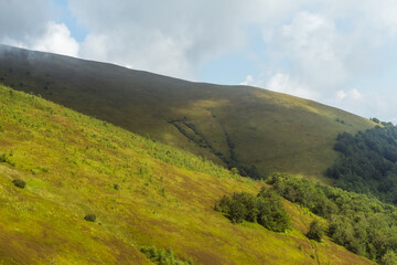 View of Borzhava Mountain Range in the Carpathians: Summer Wild Blueberry Fields