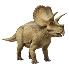 Fototapeta premium Triceratops Dinosaur